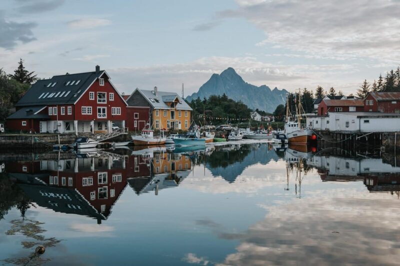 Lofoten Scenic Sightseeing Tour: Half day tour - Key Points