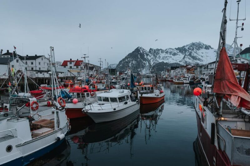Lofoten Scenic Sightseeing Tour: Half day tour - A Deep Dive into the Lofoten Experience