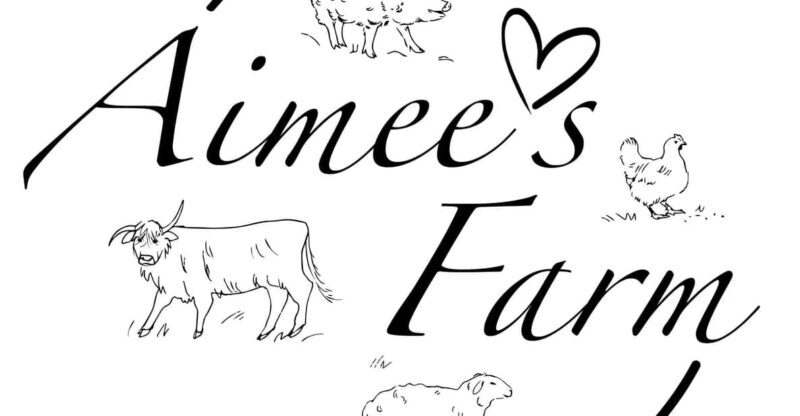 Lofoten (Stamsund and Leknes): Aimees Farm Experience - A Detailed Look at the Aimees Farm Experience in Lofoten