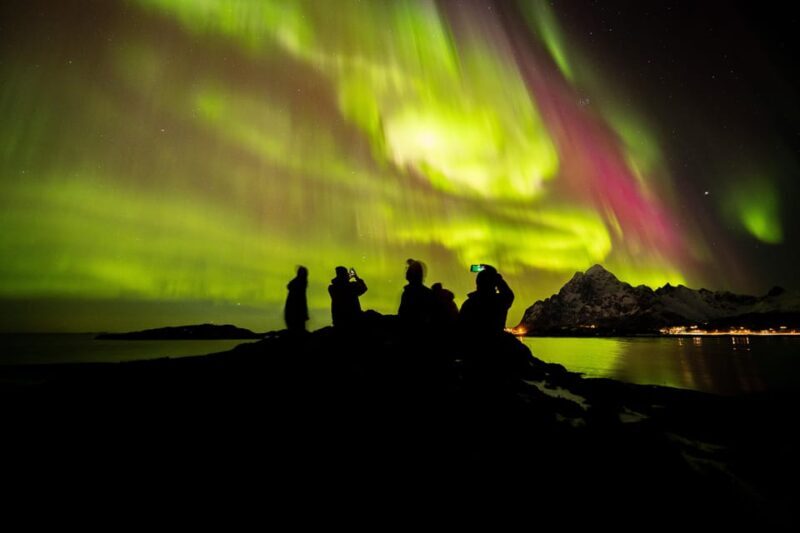 Lofoten: The Aurora Jæger  Northern Lights Hunt with Local - Key Points