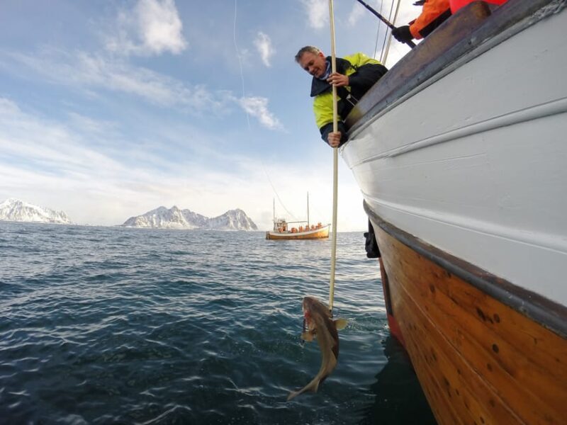 Lofoten: Traditional Fishing Trip - Key Points