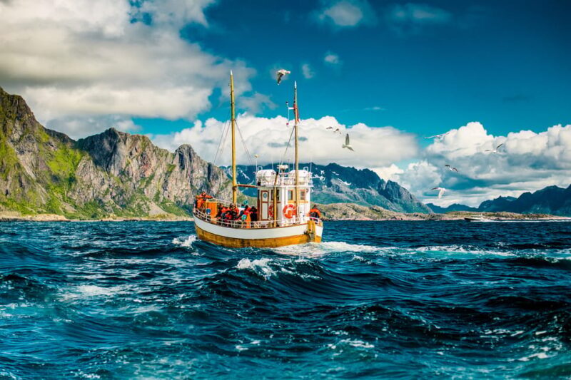 Lofoten: Traditional Fishing Trip - Who Should Consider This Fishing Trip?