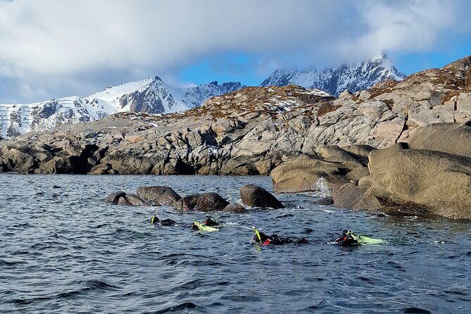 Lofoten Unique Snorkeling Experience in Dry Suit - An Overview of the Lofoten Snorkeling Tour
