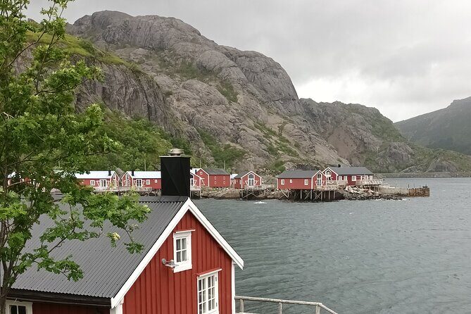 Lofoten VIP PRIVATE Tour from Leknes city / port - A Deep Dive into the Lofoten VIP PRIVATE Tour