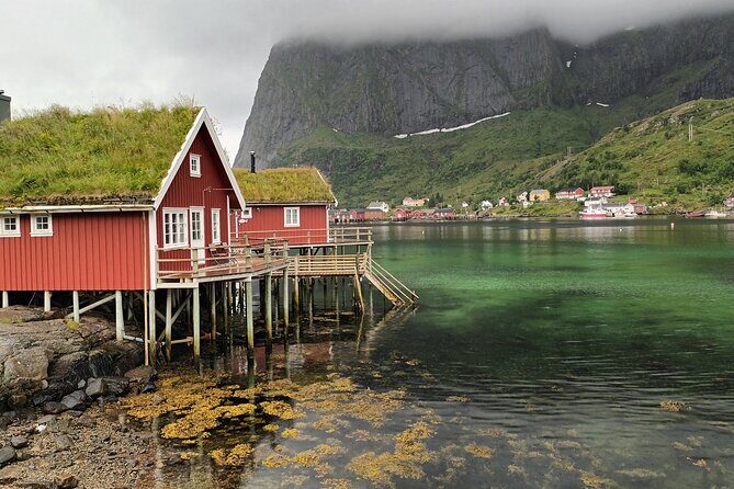 Lofoten VIP PRIVATE Tour from Leknes city / port - Final Thoughts