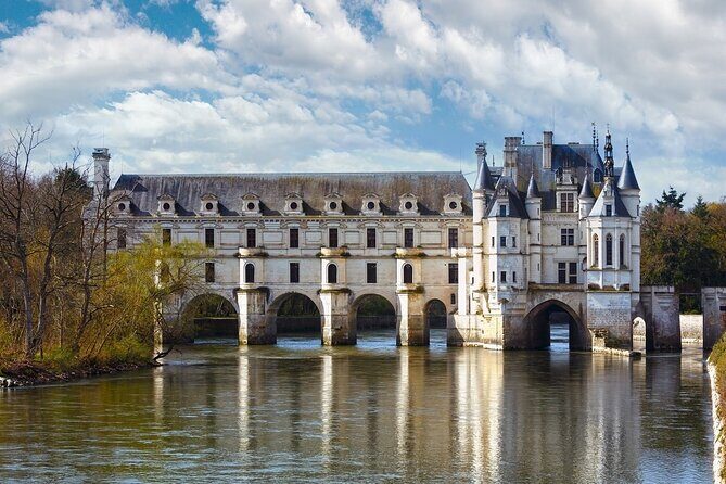 Loire Castles with Wine Tasting Private trip from Paris - What Makes This Tour Stand Out?