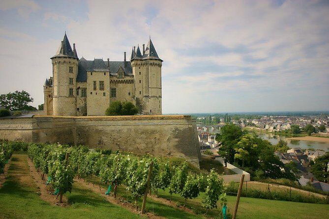 Loire Valley Castles and Wineries Private VIP Day Trip with Lunch - Exploring the Loire Valley Castles and Wineries Private VIP Day Trip: An In-Depth Review