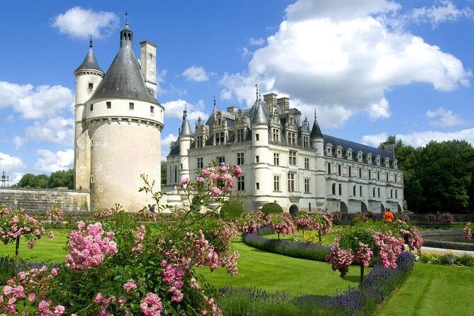 Loire Valley Castles Private Day Trip from Paris - The Itinerary Breakdown: What to Expect
