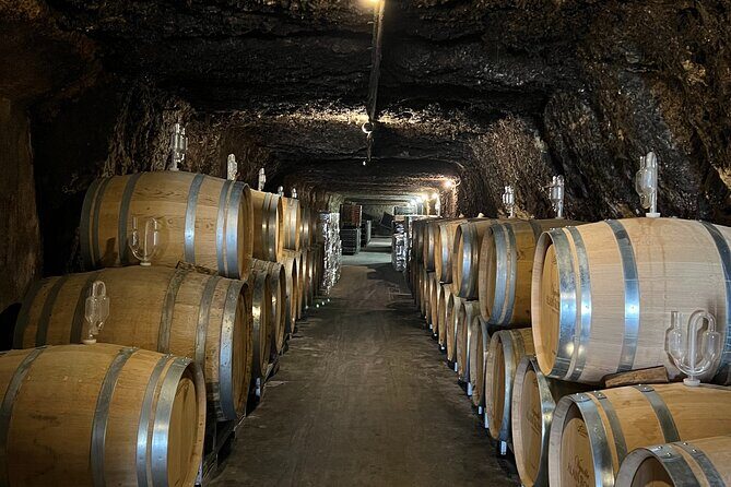 Loire Valley Chambord Castle and Wine Tasting from Paris - FAQ