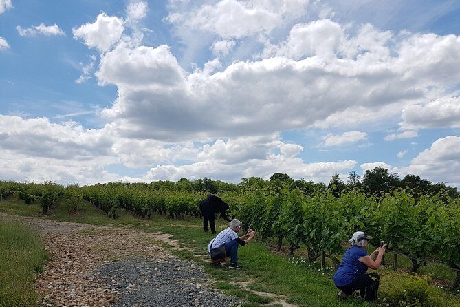 Loire Valley Half Day Wine Tour from Tours : Vouvray Wine Tasting - Who This Tour Is Perfect For