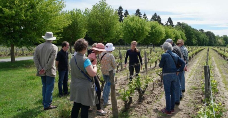 Loire Valley Tour & Wine Tasting Vouvray, Chinon, Bourgueil - Experience the Beauty and Flavors of the Loire Valley with a Private Wine & Sightseeing Tour