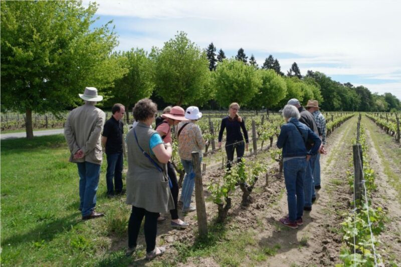 Loire Valley Tour & Wine Tasting Vouvray, Chinon, Bourgueil - FAQ