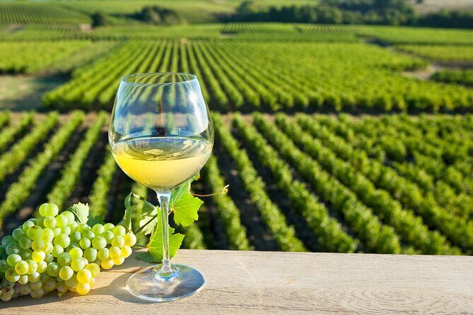 Loire Valley Wine Half Day Tour in Vouvray - Key Points