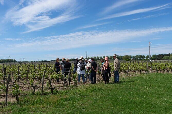 Loire Valley Wines Private Day Tour with Tastings from Tours or Amboise - The Sum Up