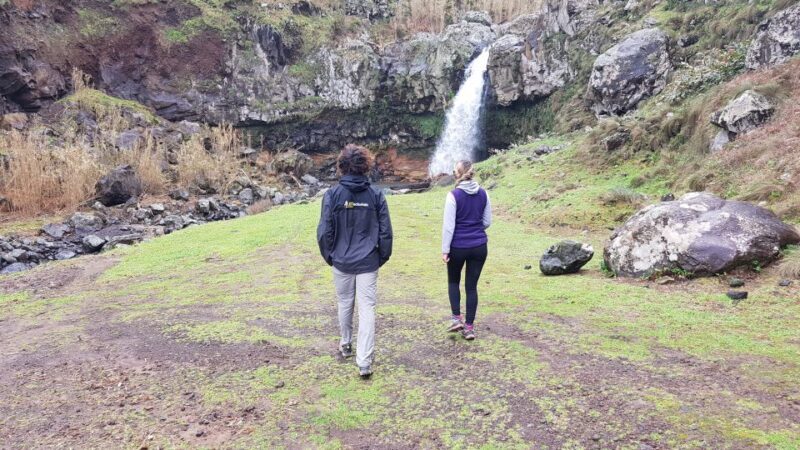 Lomba de São Pedro: Waterfall Hiking Tour with Tea Tasting - The Value of This Tour