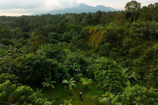 Lombok Off Road Dirt Biking and Enduro Trails Adventure - Who Is This Tour Perfect For?