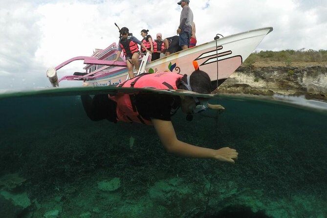 Lombok Pink Beach Boat Trip (Full Day + Snorkeling) - Who Would Love This Experience?