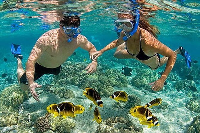 Lombok Pink Beach Island Hopping and Snorkeling Trip - Practical Considerations