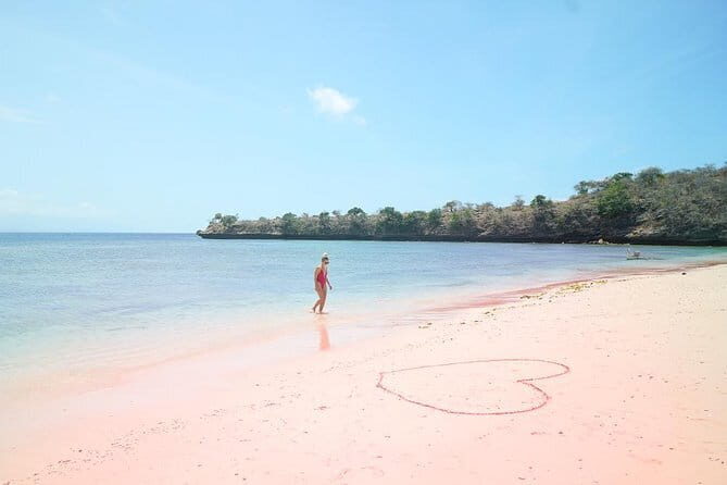 Lombok Pink Beach Island Hopping and Snorkeling Trip - Who Should Consider This Tour?