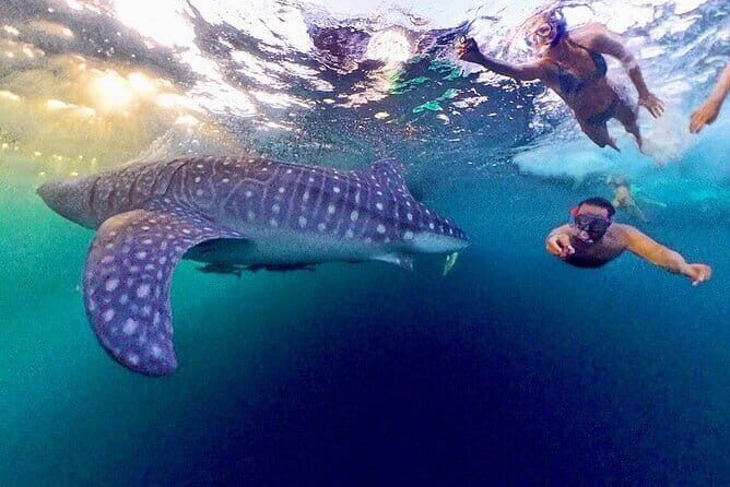 Lombok Private Tour-Car Hire With Full day Customize Trip - Is This Tour Worth It?