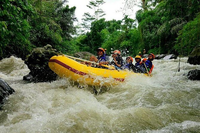 Lombok Rafting with Transport and Lunch - Key Points