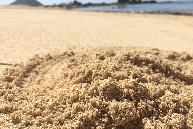 Lombok South Beach and Traditional Village Tour - In-Depth Breakdown of the Itinerary