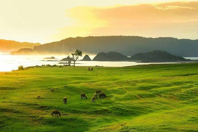 Lombok Tour For Cruise Passangers - Final Thoughts