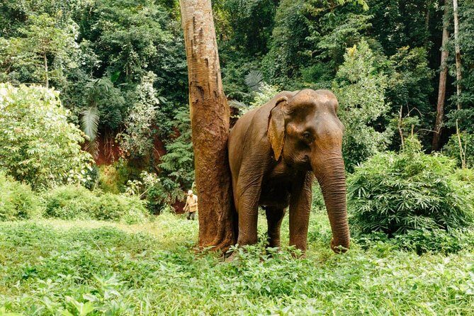 Lombok Wildlife Park Skip the Line Ticket - FAQ