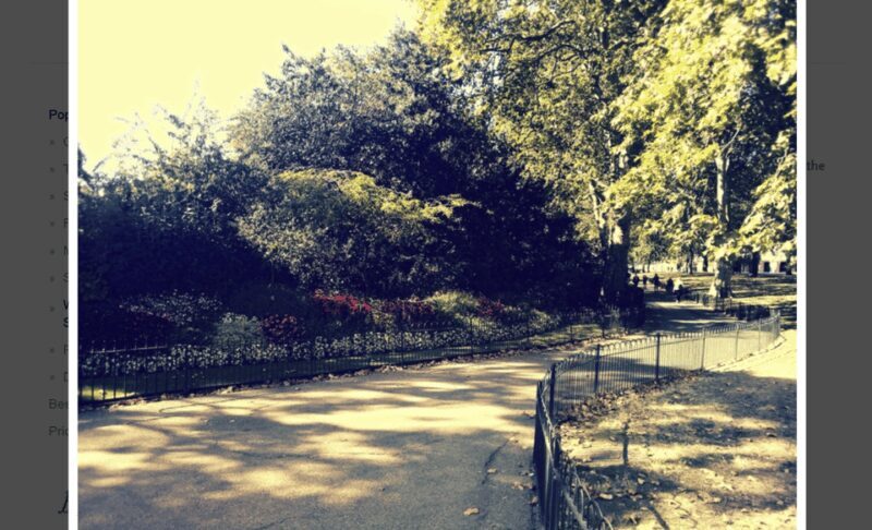 London: Bespoke Whitehall Walking Tour - Discovering Londons Political and Royal Heart on Whitehall