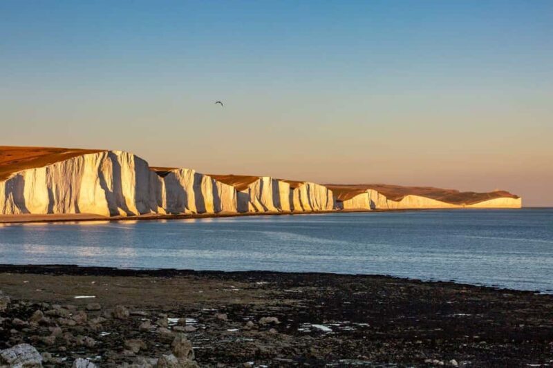London: Brighton & Seven Sisters Cliffs Private Day Tour - Key Points