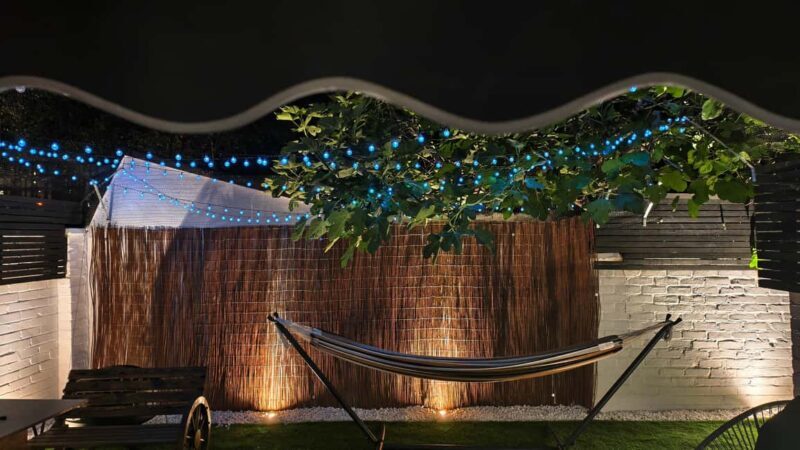 London Cat Cafe: Cat Lounge Entry Ticket - Key Points