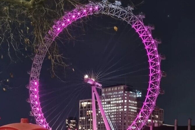 London Christmas Lights Private Guided Taxi Tour - The Experience in Detail