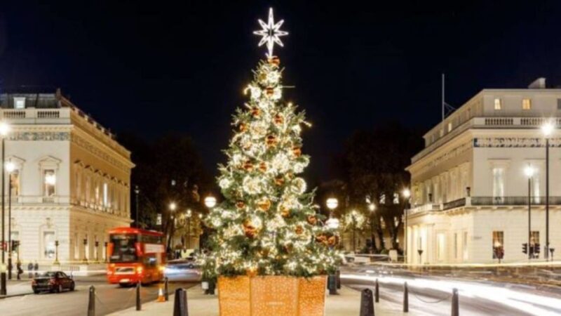 London: Christmas Lights Tour, Mince Pies, & Festive Drinks - A Detailed Look at the Experience