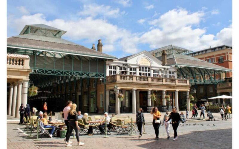 London: City Highlights Full-day Private Guided Tour - Witnessing the Changing of the Guard