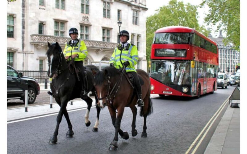 London: City Highlights Full-day Private Guided Tour - Practical Considerations