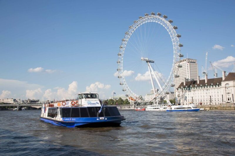 London: City Tour with River Cruise & London Eye - Who Will Love This Tour?