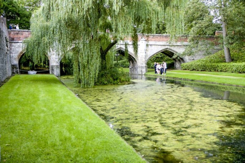 London: Entry Ticket to Eltham Palace and Gardens - The Gardens: A Floral and Historical Haven