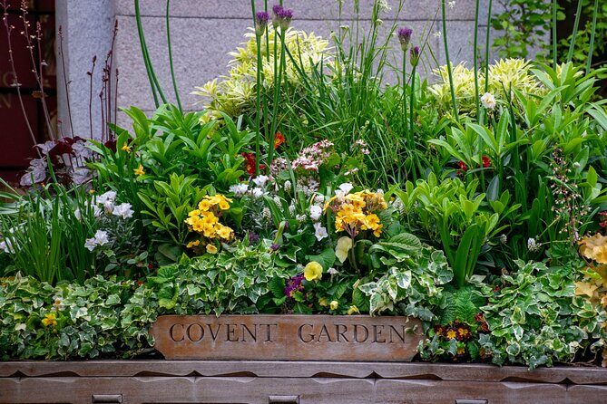 London Fully Tailored Private Tour: Half-Day with Local Guide - Final Thoughts