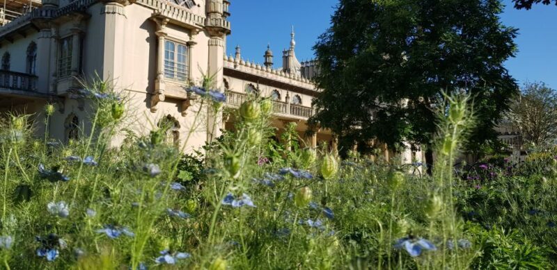 London: Guided Day Trip to Brighton and Seven Sisters - An In-Depth Look at the Tour Experience