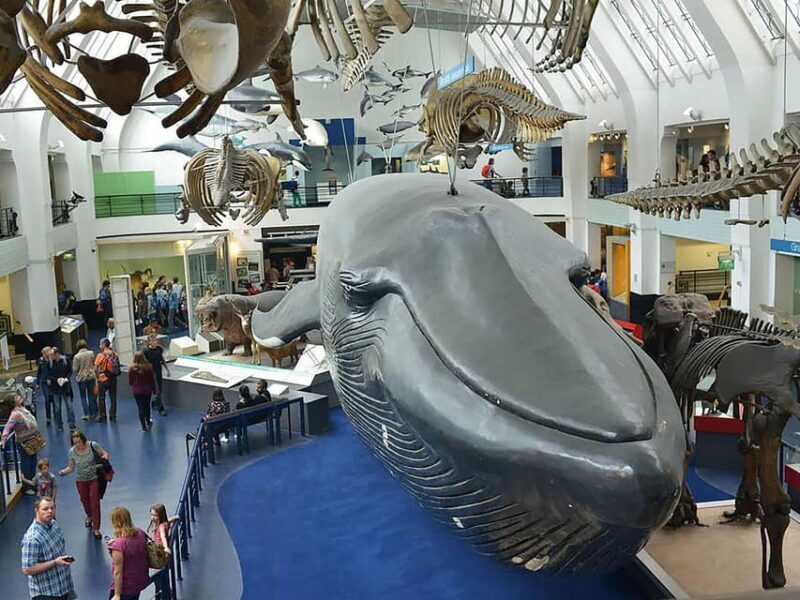 London: Guided Tour of Natural Marvels - Introduction
