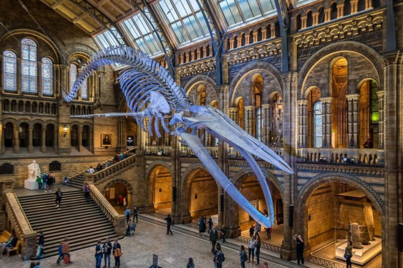 London: Guided Tour of the Natural History Museum - A Closer Look at the Tour Itself