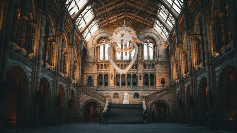 London: Guided Tour of the Natural History Museum - The Practical Side: Price, Duration, and Accessibility