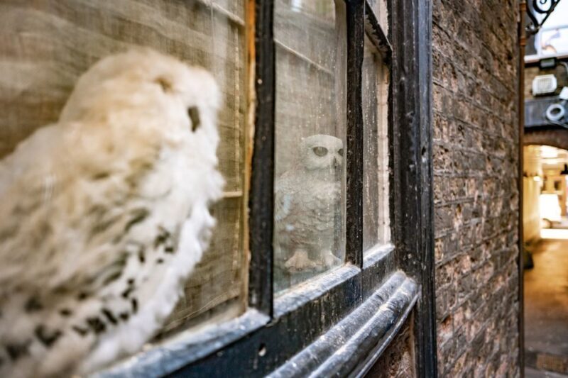 London: Harry Potter Movie Locations Magical Guided Tour - Key Points