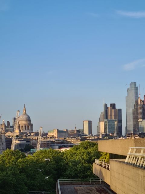 London: Highlights and Hidden Gems Private Guided Tour - The Sum Up