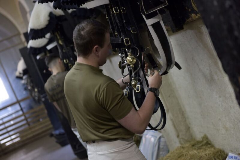 London: Household Cavalry Museum Entry Ticket - FAQ