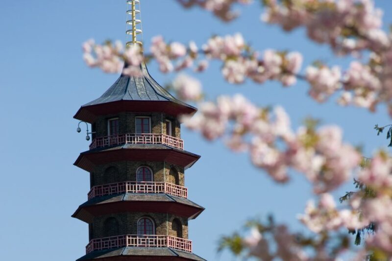 London: Kew Gardens Admission Ticket - Exploring the Gardens and Key Highlights