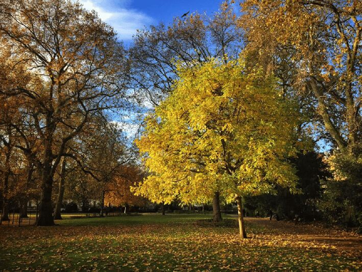 London Literary Walking Tour (Bloomsbury) - Meeting the Literary Greats: Homes and Haunts