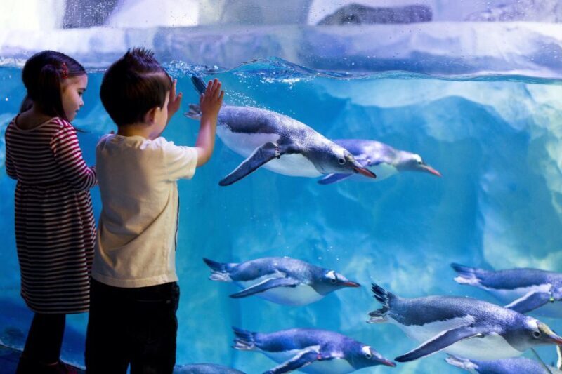 London: Madame Tussauds, London Eye & SEA LIFE Combo Ticket - Who Will Enjoy This Experience?