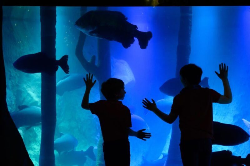 London: Madame Tussauds, SEA LIFE and London Dungeon Entry - Who Would Enjoy This Experience?