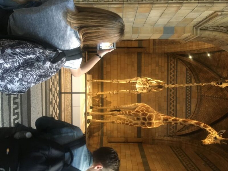 London: Natural History Museum Entry Ticket and Guided Tour - Key Points